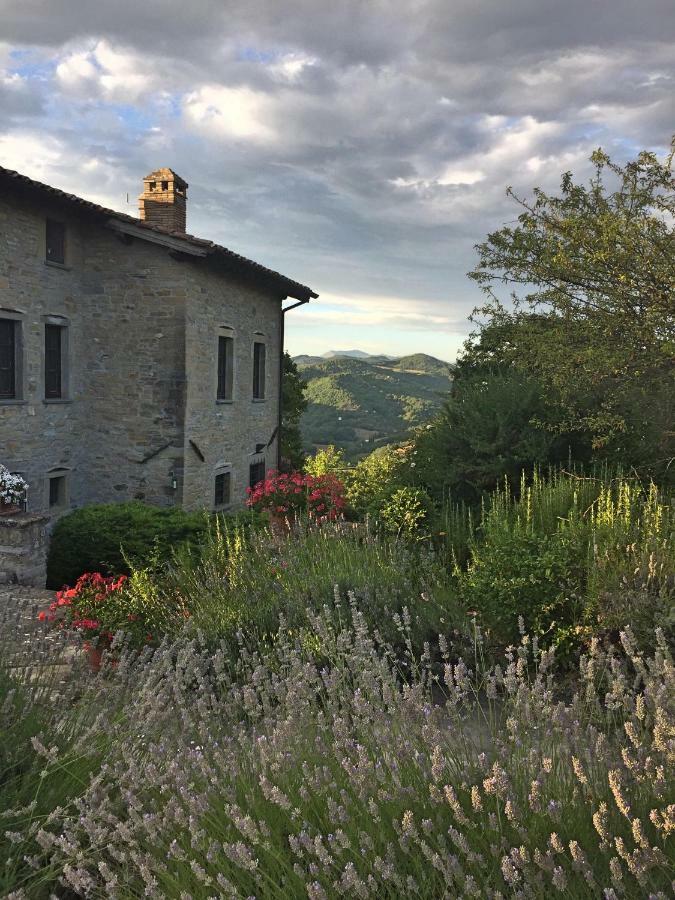 Villa Cavagnetti Пьетралунга Экстерьер фото